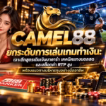 CAMEL88 ยกระดับการเล่นเกมทำเงิน: เจาะลึกสูตรเดินเงินบาคาร่า เทคนิคแทงบอลสด และสล็อตค่า RTP สูง พร้อมแนวทางบริหารทุนอย่างมืออาชีพ